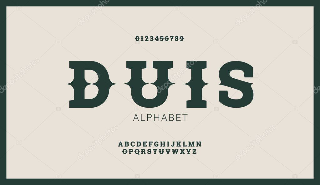 Modern stylized flat alphabet fonts in west retro style. Creative vintage font typeface for labels, flyers, headlines, posters or whiskey brand.