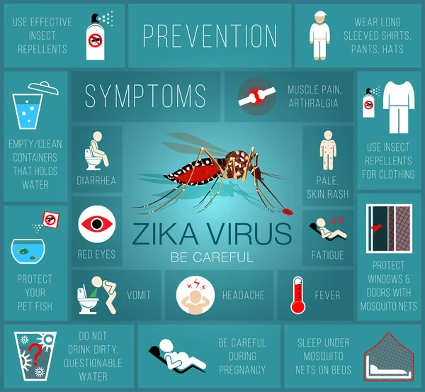 Zika 바이러스입니다. 모기 물린. 예방 및 증상 Infographic. — 스톡 벡터