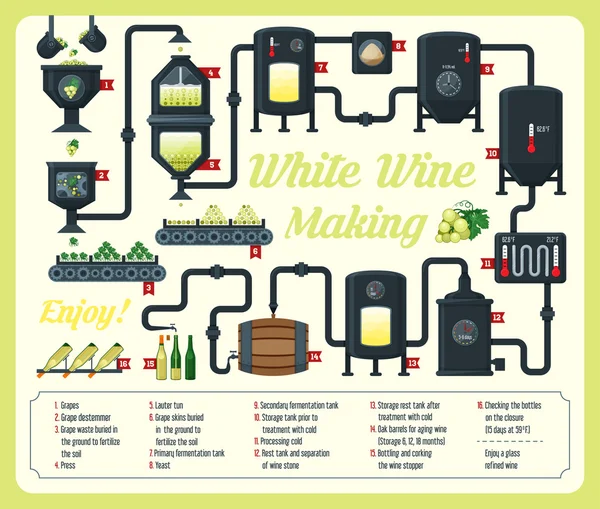 La vinification. comment le vin est fait, éléments de vin, infographie — Image vectorielle