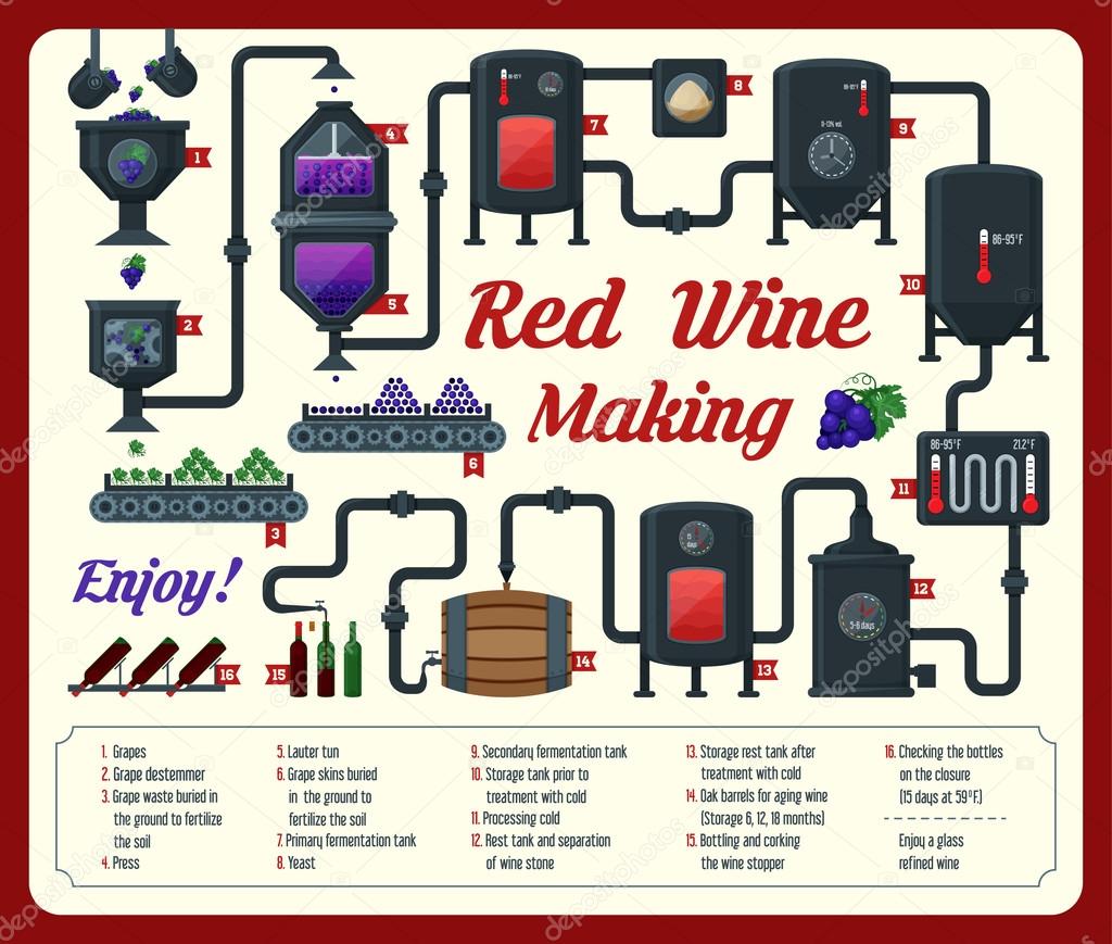 Wine making. how wine is made, wine elements, infographic