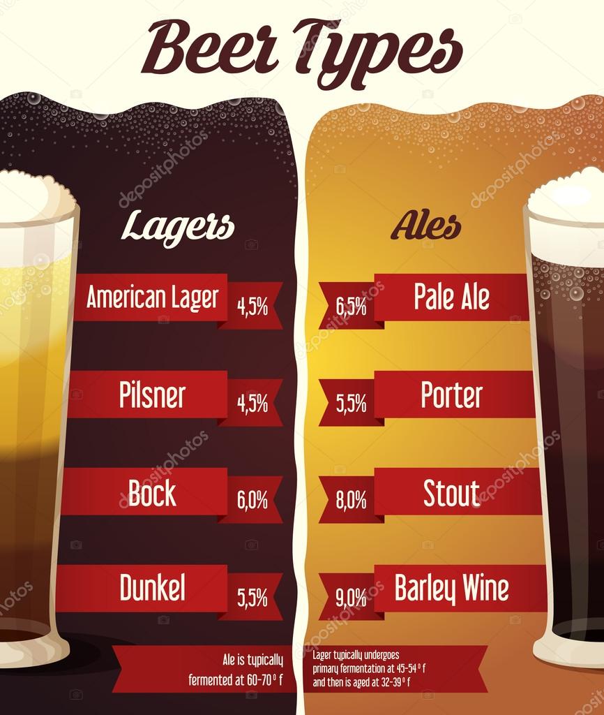 beer infographic video