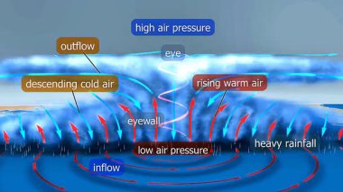 Göz, göz, yağmur bantları ve dikey hava akışını gösteren tropikal siklon kesitinin 3D animasyonu