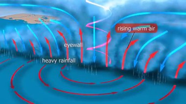 Göz, göz, yağmur bantları ve dikey hava akışını gösteren tropikal siklon kesitinin 3D animasyonu