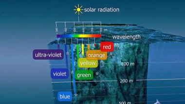 Yüzey, termoklin ve derin bölgeleri gösteren farklı okyanus katmanlarındaki ışık emiliminin 3D animasyonu