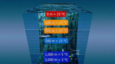 Yüzey, termoklin ve derin bölgeleri gösteren farklı okyanus katmanlarındaki sıcaklık aralığının 3D animasyonu