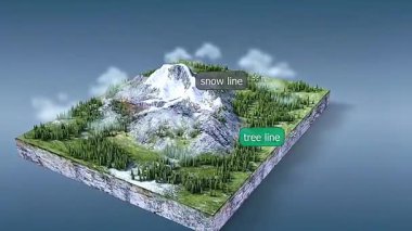 Soğuk bölgedeki rakımsal bölge bitkilerinin 3D animasyonu kozalaklı ormanlar, alp çayırları ve tundra bitkilerini gösteriyor