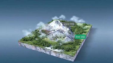 Tundra, yosun, liken ve alp bitkilerini gösteren kutup bölgesindeki yükseklik bölgelerinin 3D animasyonu