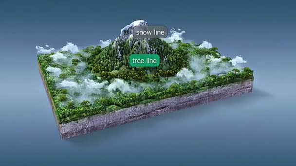 3d animation of tropical zone vegetation across altitudinal zones showing rainforest, montane forest, and alpine plants