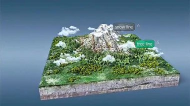 Orman katmanları ve bitki çeşitliliğini gösteren rakımsal bölgelerdeki ılıman bölge bitki örtüsünün 3D animasyonu