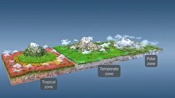 3d animation of vegetation across altitudinal zones in tropical, temperate, and polar regions