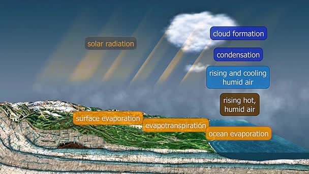 3d animation of cloud formation showing vapor rising, condensation, droplet growth, and cloud development