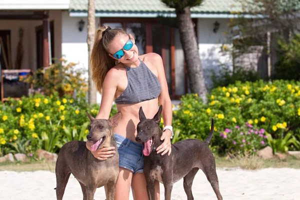 A lány szép farmer nadrág és egy trikó is gatsya kutyák, játék kutya a strandon — Stock Fotó