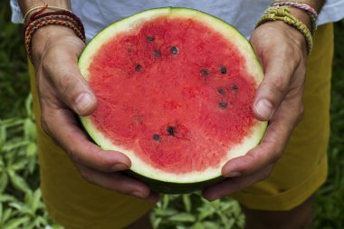Sulu kırmızı karpuz ve erkek elleri