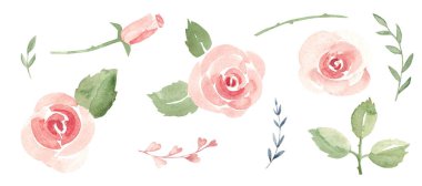 Sevgililer Günü ve düğün tasarımı için suluboya gül ve çiçek unsurları. Romantik kart, aşk davetiyesi, güzellik markası, sosyal medya ve zarif dekor için ideal.