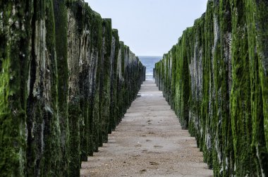 Breakwaters on the North Sea. Belgium clipart