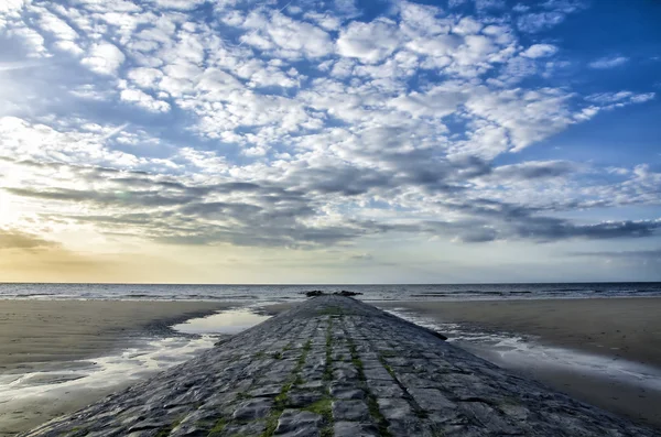 Vlnolamů na pobřeží Severního moře. Belgie — Stock fotografie