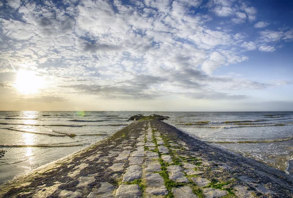 Vlnolamů na pobřeží Severního moře. Belgie — Stock fotografie