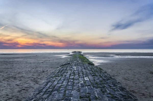 Vlnolamů na pobřeží Severního moře. Belgie — Stock fotografie