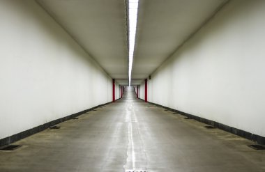 Kennedy tünel Antwerp Bisiklete binme