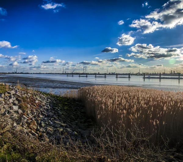 Schelde i Antwerpen, Belgium — Stockfoto