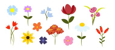 Basit renkli çiçekler, çizgi film tarzında bitkiler. Sapları, yaprakları, yaprakları, yaprakları, gül tomurcukları, papatyaları, laleleri, beyaz arka planda izole gül kalçaları olan farklı çiçeklerin vektör çizimi.