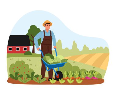 Bahçede hasat yapan bir adamın vektör çizimi. Karikatür sahnesinde elinde lahana, çiftlik, ev, ağaç, çalılar, havuçlu bahçe, beyaz arka planda izole pancar tutan bir adam vardı..