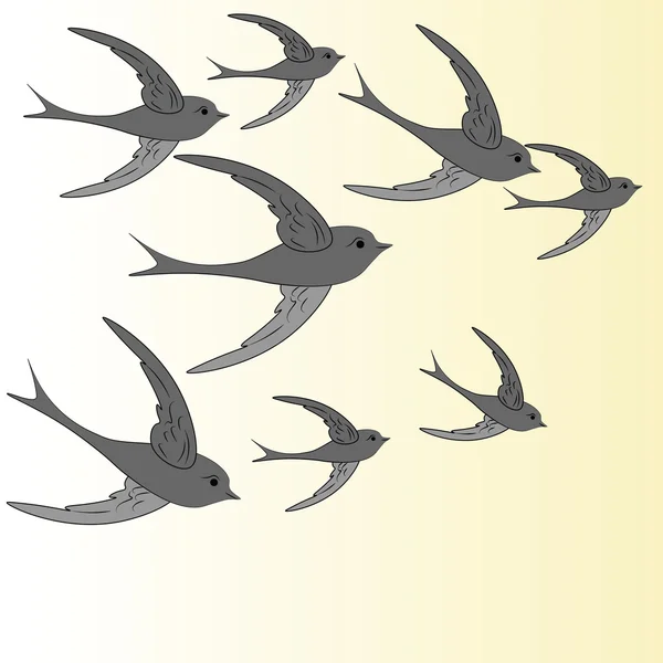 Hirondelles volant dans le ciel — Image vectorielle