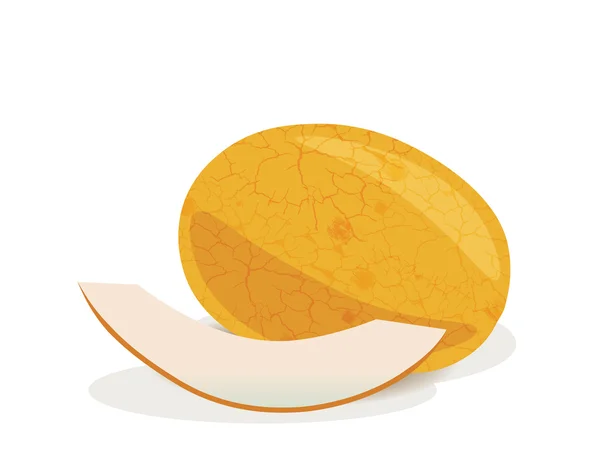 Meloun ovoce, samostatný — Stockový vektor