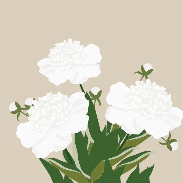 Винтажные акварельные цветы пионов — стоковый вектор