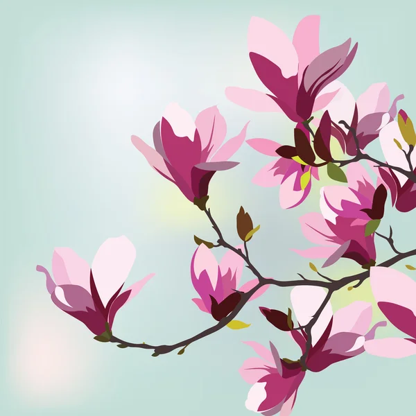 Vintage Watercolor Background with Blooming Magnolias Flowers — Stock Vector