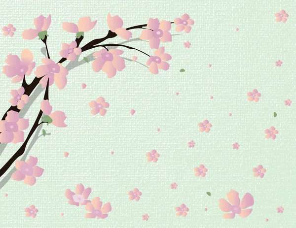 Cerezo Vector árbol de flores — Vector de stock