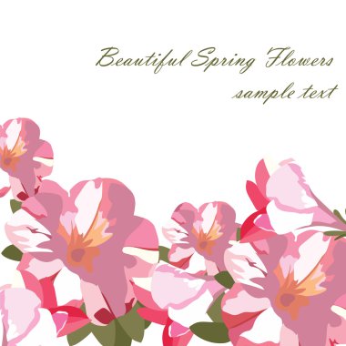 Pembe çiçek buket kartı beyaz izole