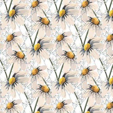 Papatya çiçeği deseni