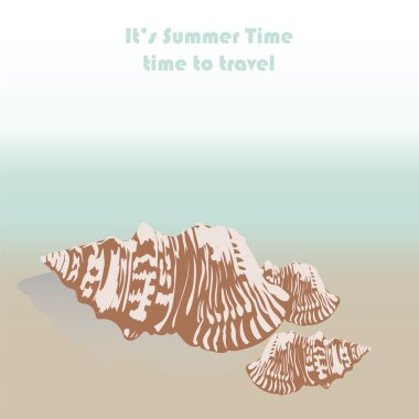 Vektör deniz kabuğu el çizilmiş