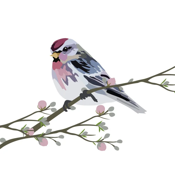 Vector mooie lente aquarel vogel — Stockvector