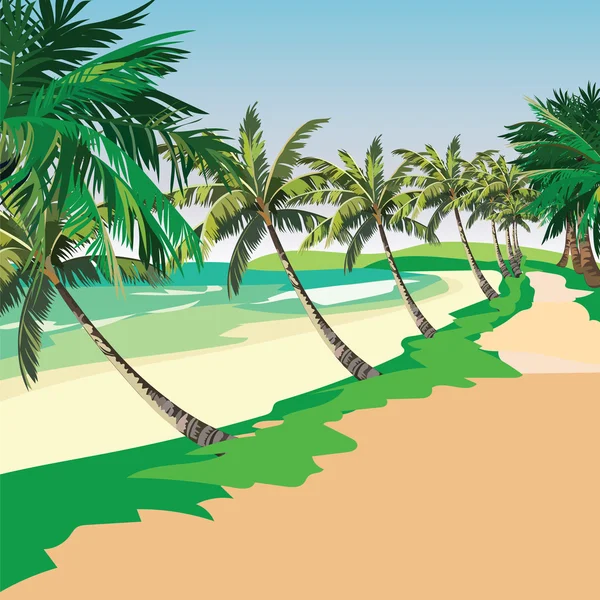 Praia de Verão com palmeiras tropicais — Vetor de Stock