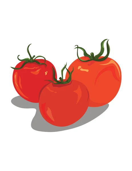 Tomates frescos ilustración abstracta — Vector de stock