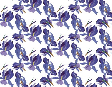 Iris çiçek deseni