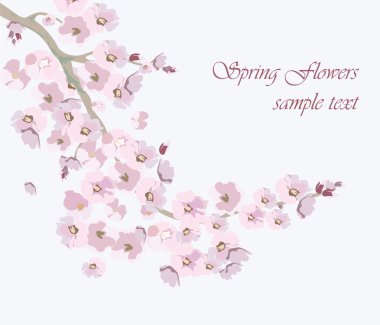 Vektör Vintage Kiraz çiçekleri arka plan