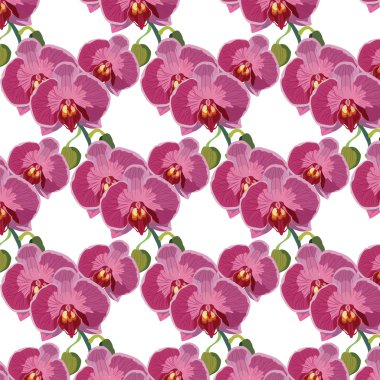 Vektör Suluboya Orkide çiçekler