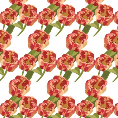 Bahar kırmızı lale desen