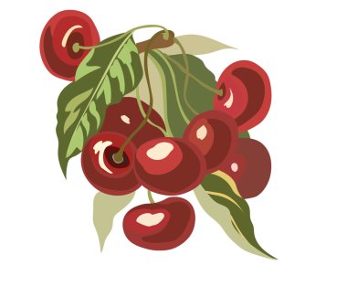 Kiraz meyve suluboya illüstrasyon