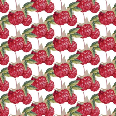 Taze ahududu vektör desen arka plan