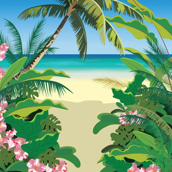 Egzotik Cennet plaj — Stok Vektör