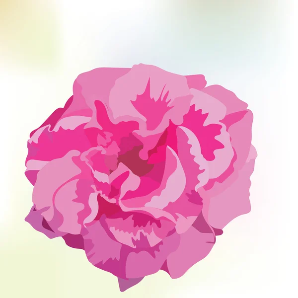 Rosa aquarela rosa —  Vetores de Stock