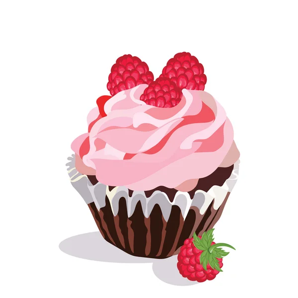 Heerlijke Raspberry cupcake geïsoleerd — Stockvector