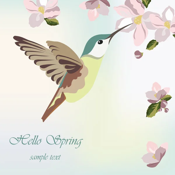 Fleurs de fleur de printemps et colibri — Image vectorielle