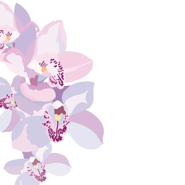 Flores de orquídea vectorial — Archivo Imágenes Vectoriales