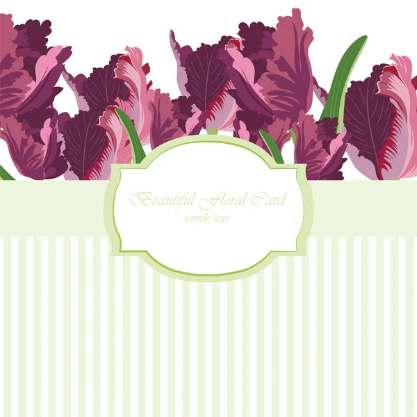 Tulipa Flores cartão Vector —  Vetores de Stock