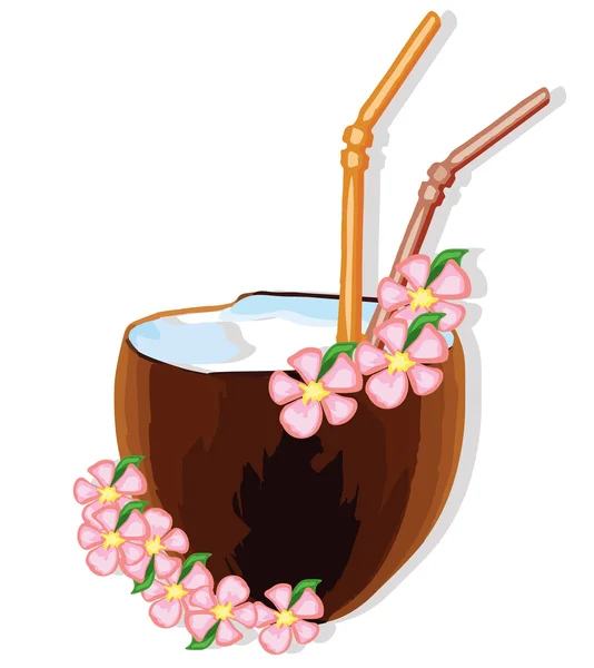 Экзотический кокосовый коктейль — стоковый вектор